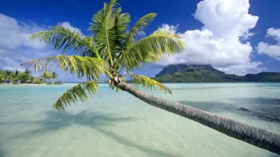 Travel, tours, stays in French Polynesia