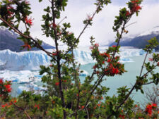 Marie-Claude and Robert Lyathaud in Chile and Argentina