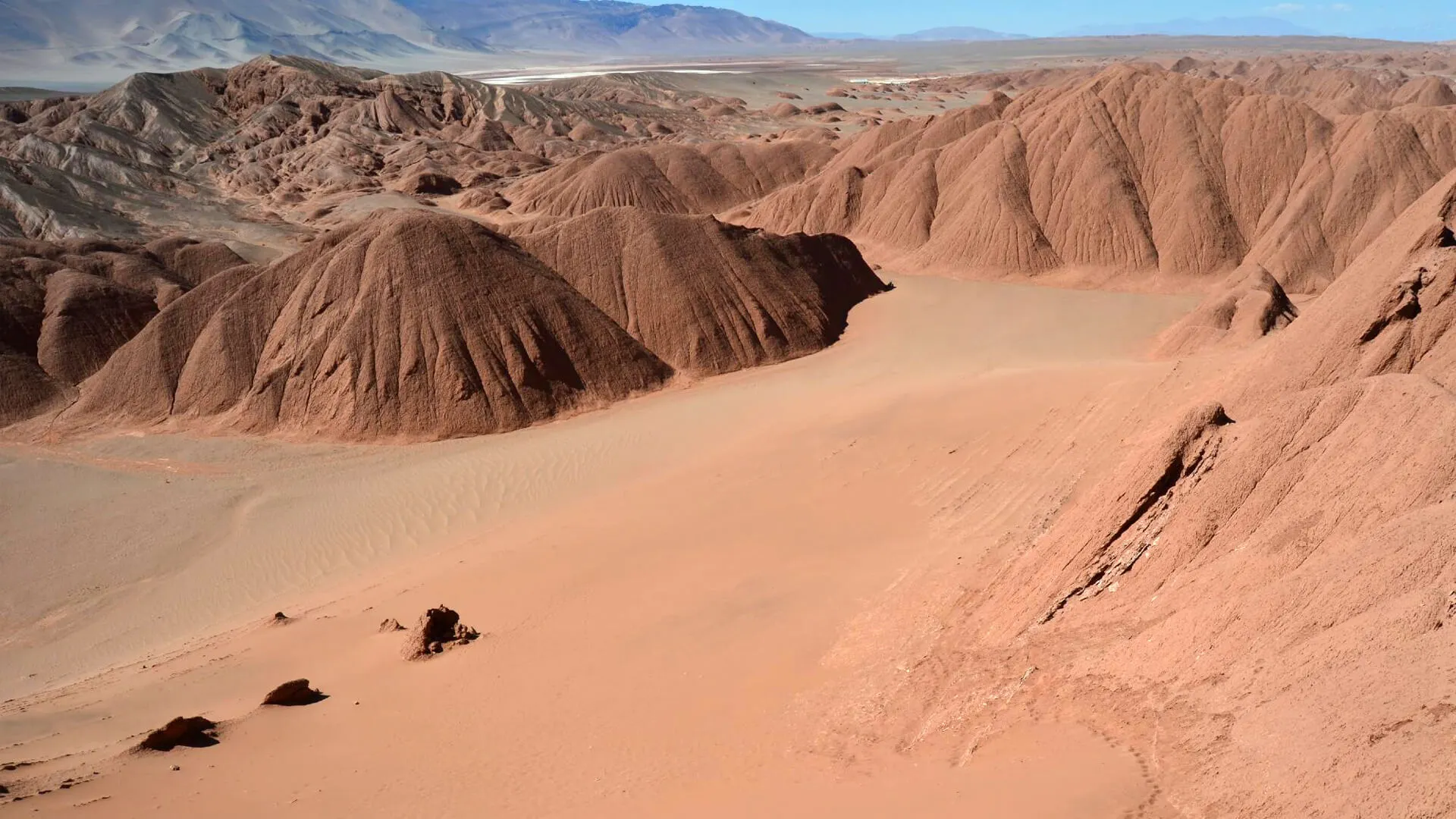 El Arenal Tolar Grande Argentine