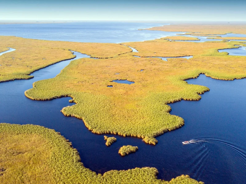 Les Étangs de l'Iberá