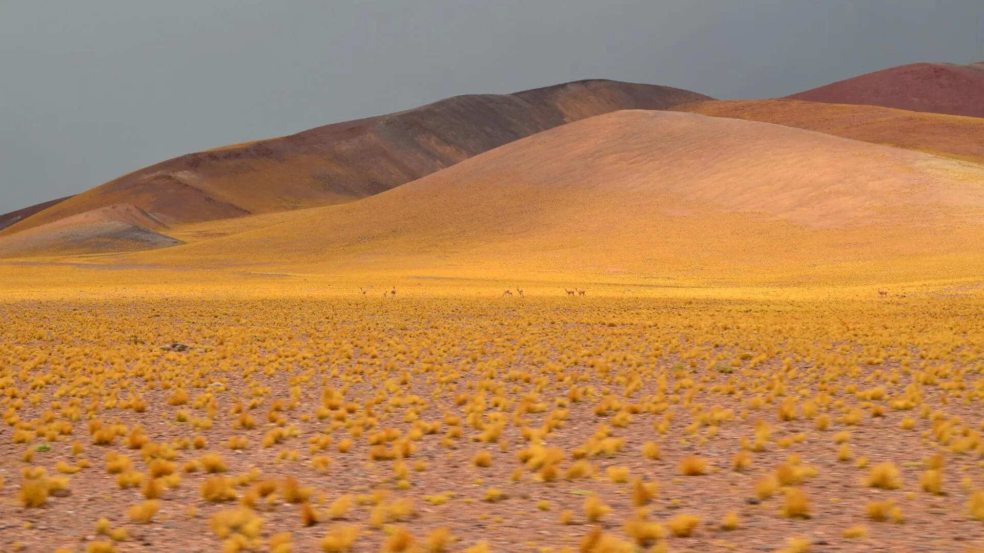 Laguna Santa María