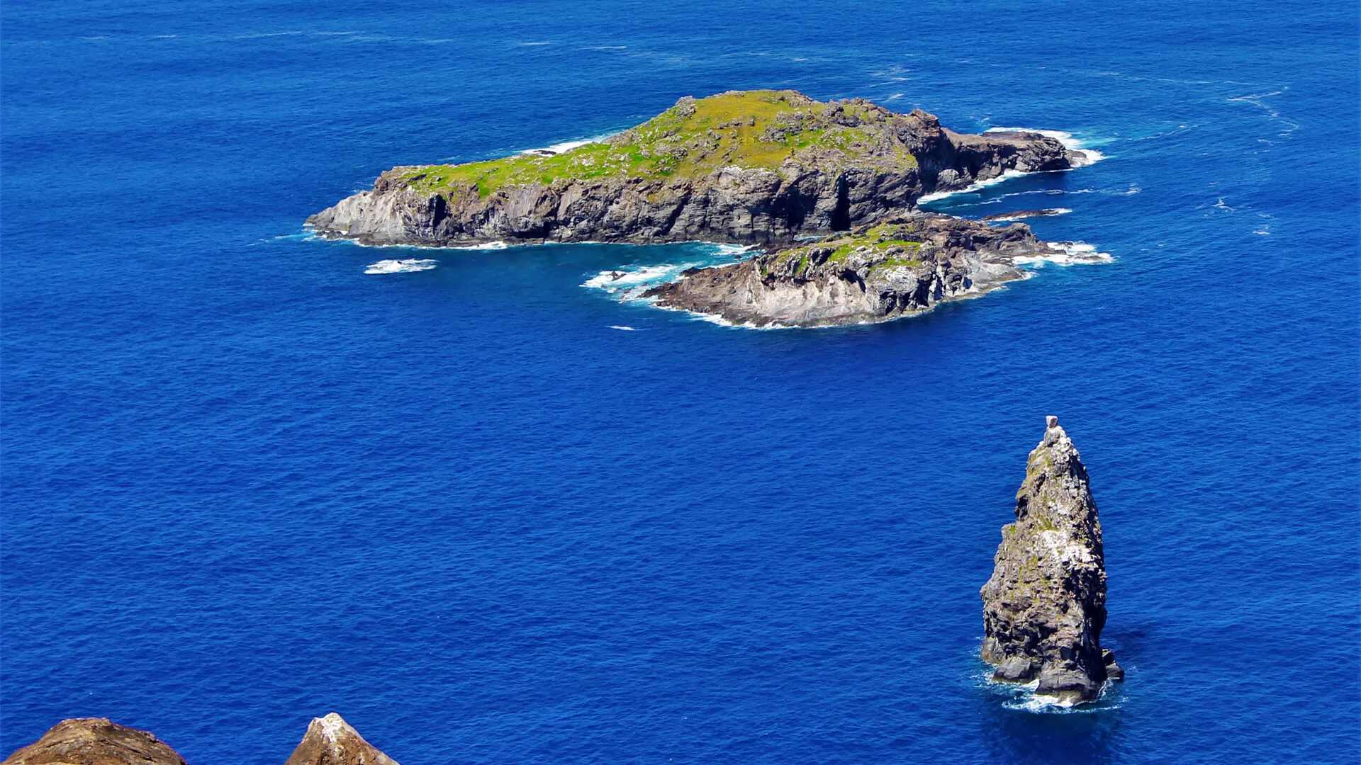 Île Homme Oiseau Pâques