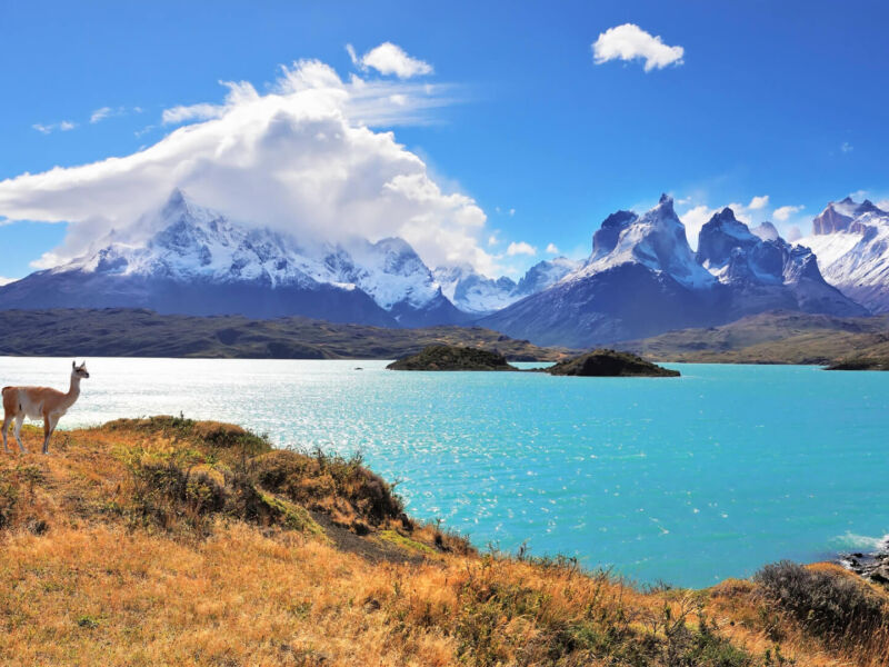 La Patagonie, le denier refuge
