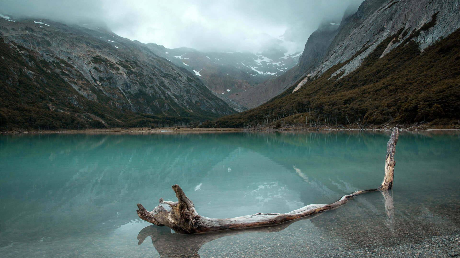 La Patagonie, l'Ultime refuge