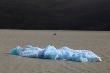 Iceberg dans le Parc Torres del Paine