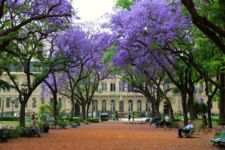 Quartier de Recoleta Buenos Aires