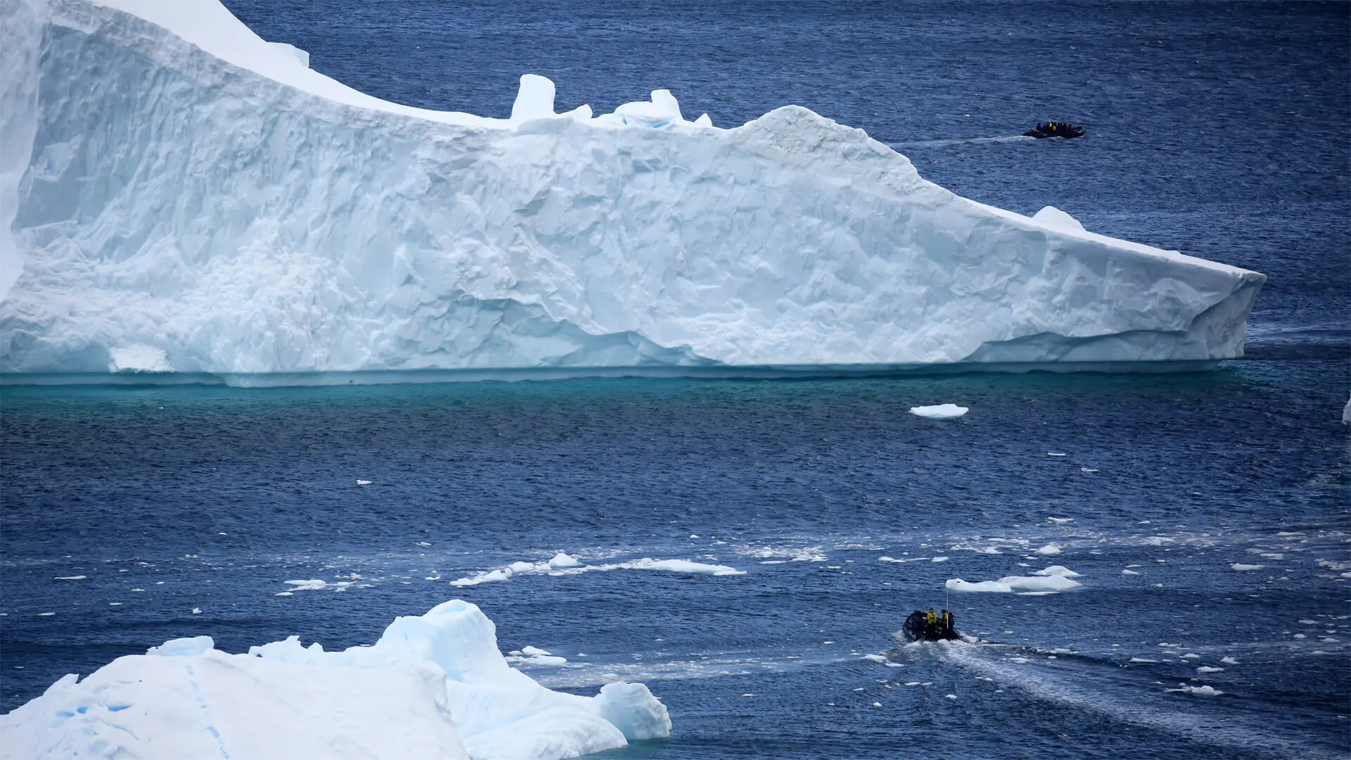 Sorties en zodiac sur la péninsule Antarctique