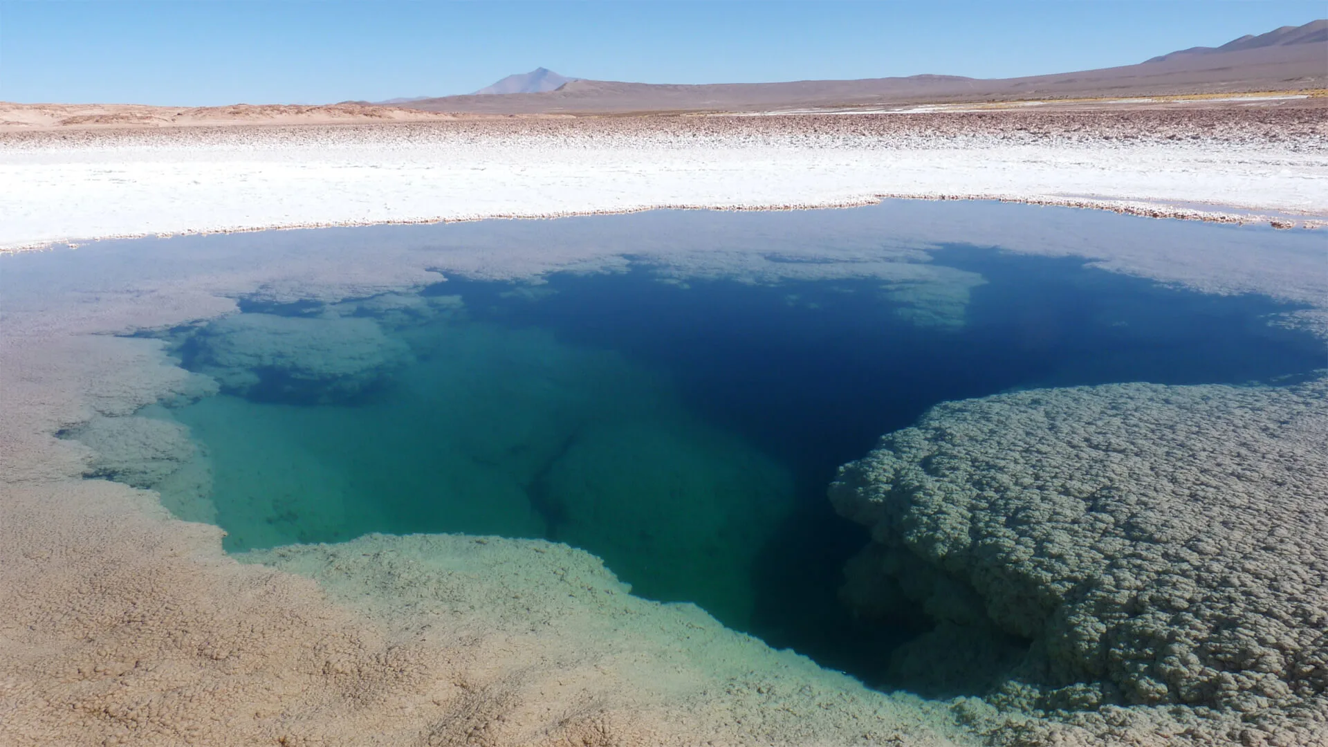Ojos de Mar à Tolar Grande, la Puna Argentine
