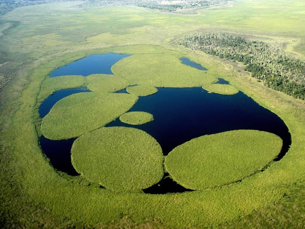 Les étangs de l'Ibera pour un safari photo unique au monde